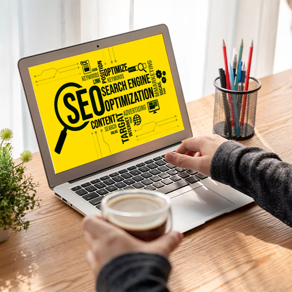 Search Engine Optimization and Search Engine Marketing strategy